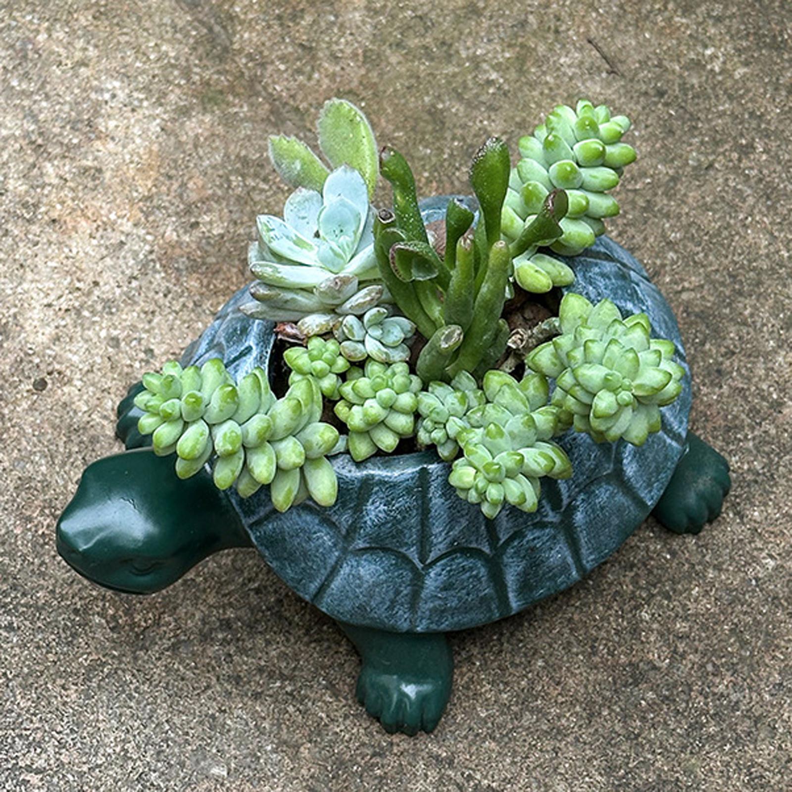 Bonsai Garden Restaurant - カメ型プランター植木鉢盆栽鉢コレクションアートワークカメ型植木鉢庭レストラン本棚オフィス誕生日プレゼント用