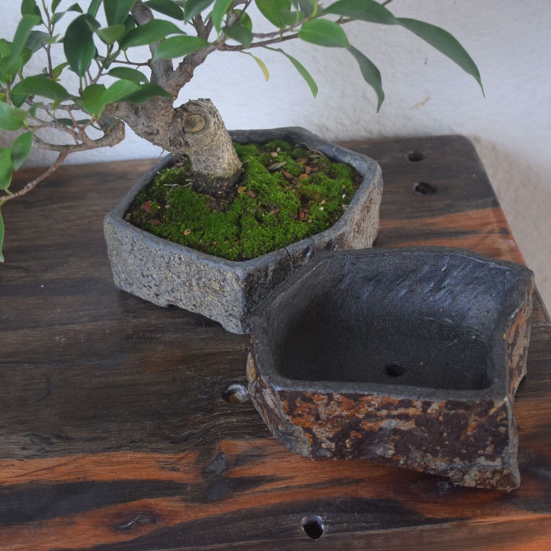 玄武岩天然石フラワーポット手作り多肉植物プランター屋内屋外デ - Bonsai Garden Chinese Garden のレビューと価格