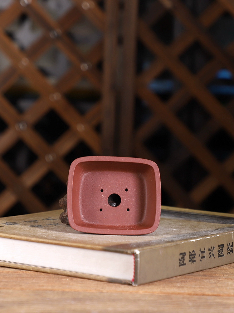 紫砂丸角長方形盆栽鉢、小さな植物、伝統的な中国の庭の装飾 - Bonsai Garden Chinese Garden のレビューと価格
