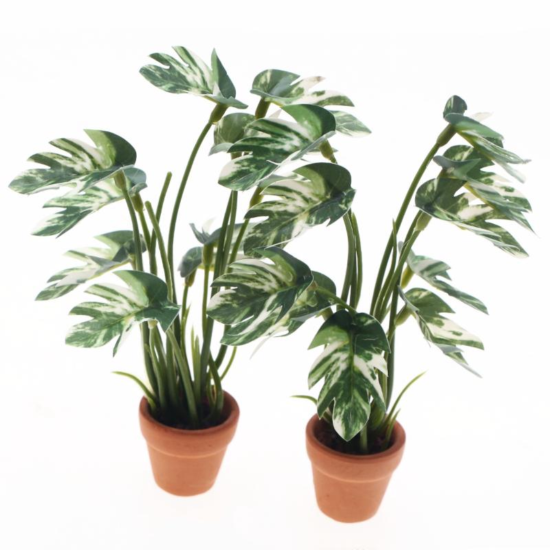 新品。1個入り 1/12 ドールハウス シミュレーション モ - Bonsai Garden Decor のレビューと価格