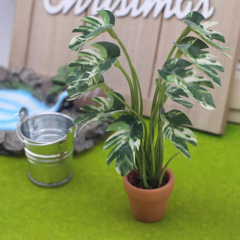 新品。1個入り 1/12 ドールハウス シミュレーション モ - Bonsai Garden Decor のレビューと価格